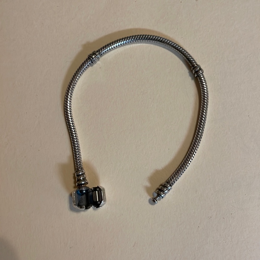 Pandora charm bracelet